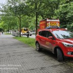 Brand 3 - Waldbrand | 13.-15.06.25