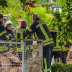TH 2 - Wasser im Keller | 28.05.25